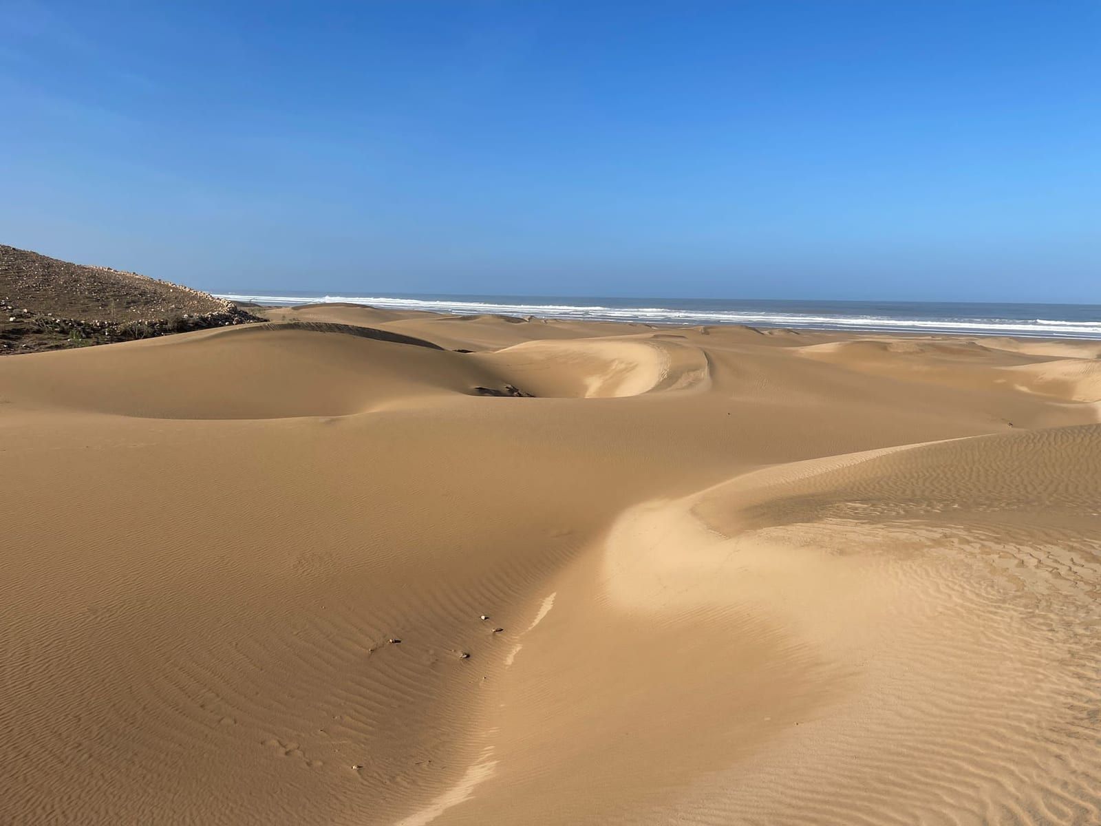 Vaste champ de dunes ondulantes descendant vers l’océan