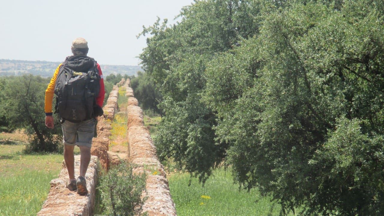 Un marcheur s’éloigne sur un ancien aqueduc de pierre traversant des champs verts, un grand arganier sur la droite