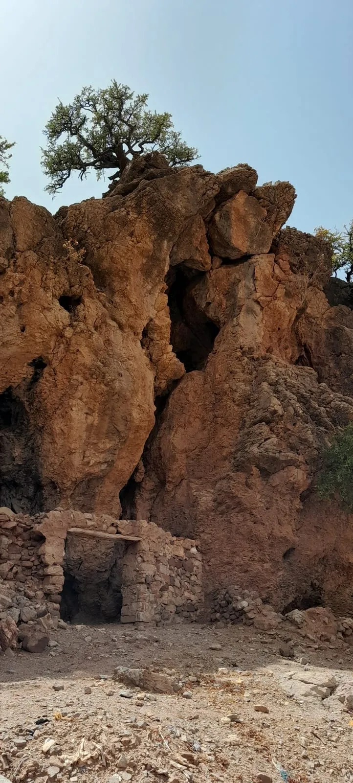 Un arganier accroché au sommet du rocher, un abri de pierre à sa base