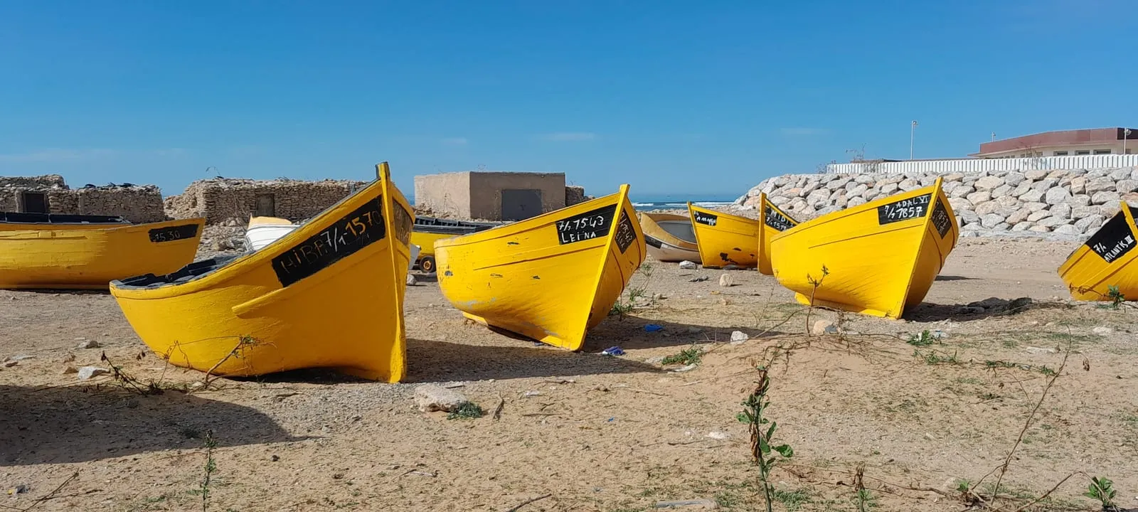 Barques de pêche jaunes tirées sur le sable