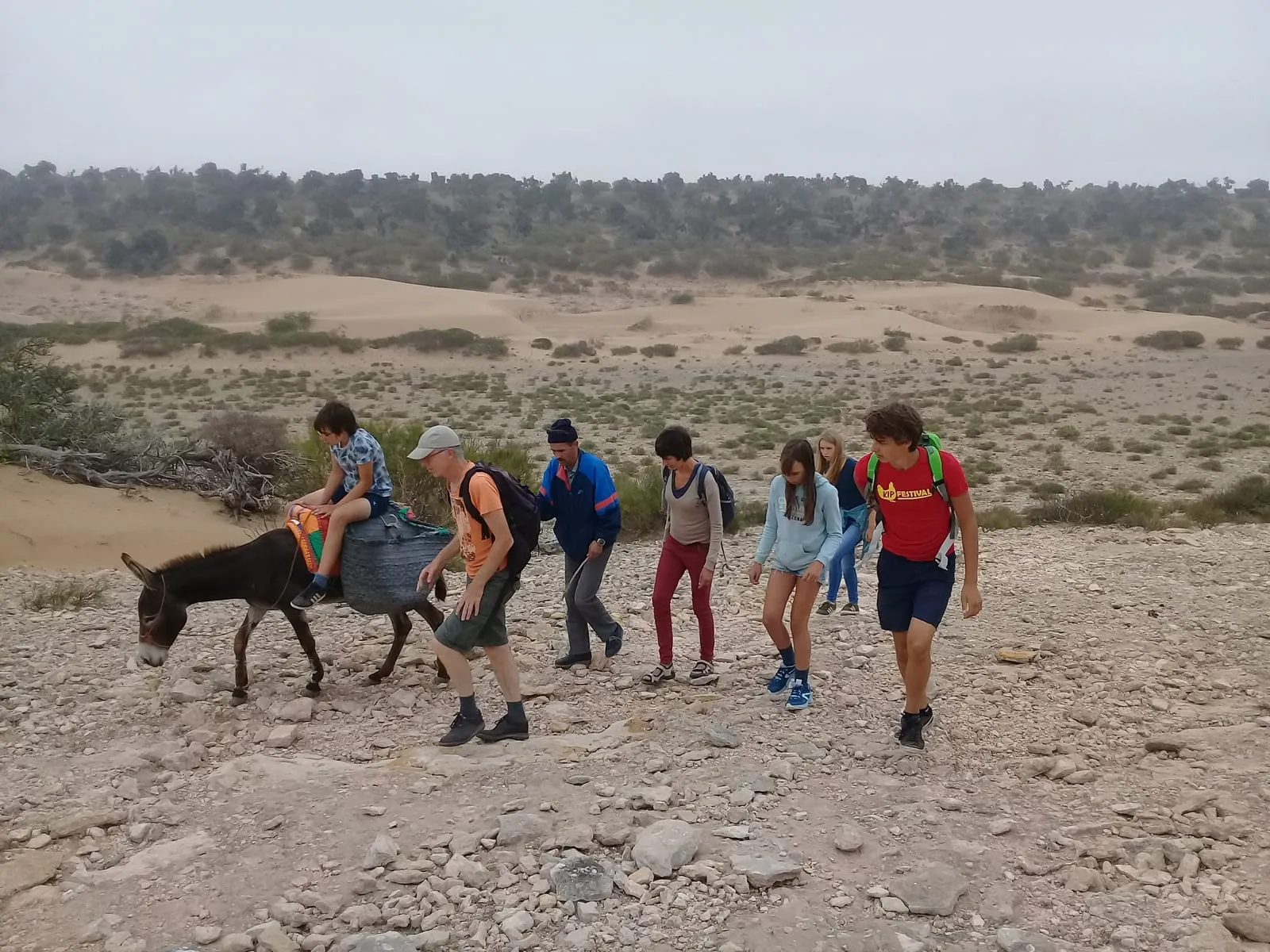 Le groupe et l’âne bâté traversent le plateau pierreux devant les dunes