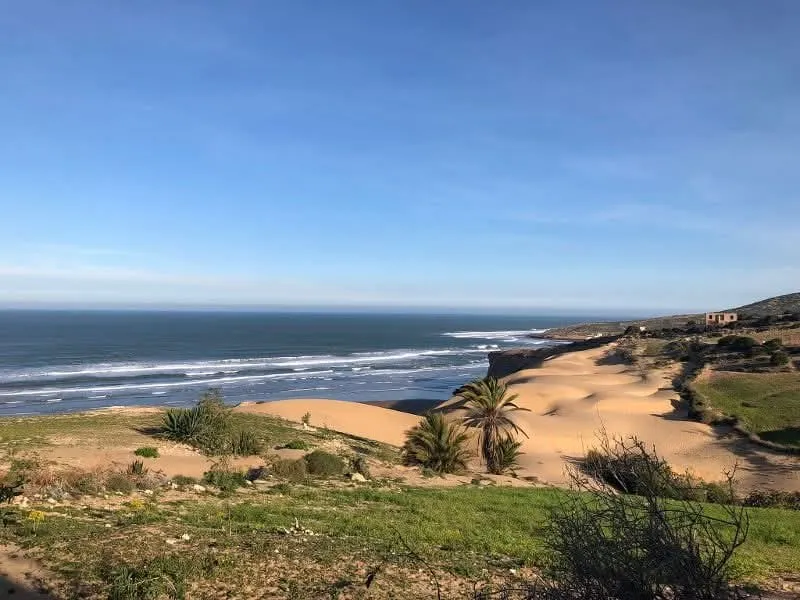 Dune et palmiers au-dessus de la plage
