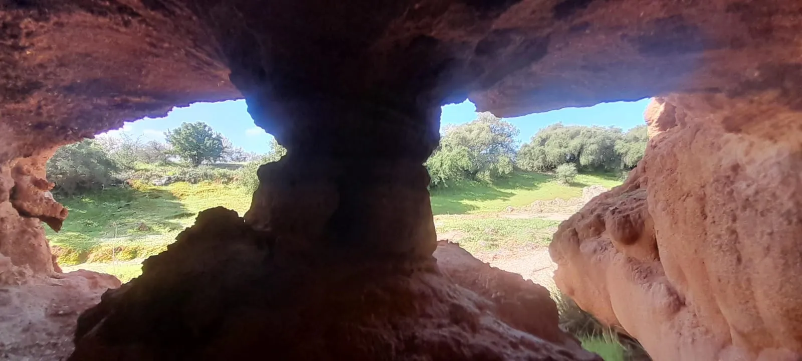 Depuis la grotte, vue sur les oliviers