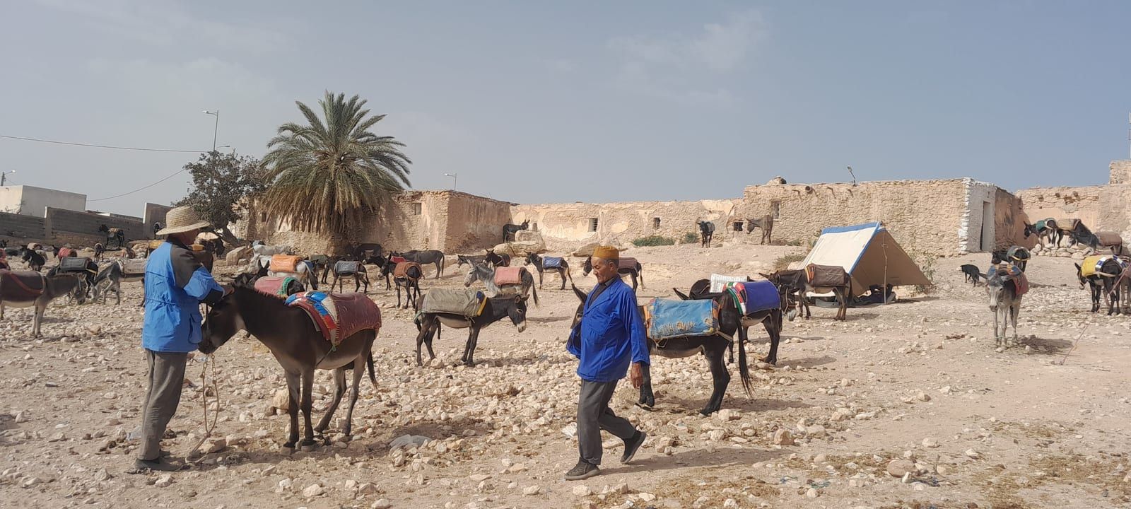 Le roi des souks hebdomadaires