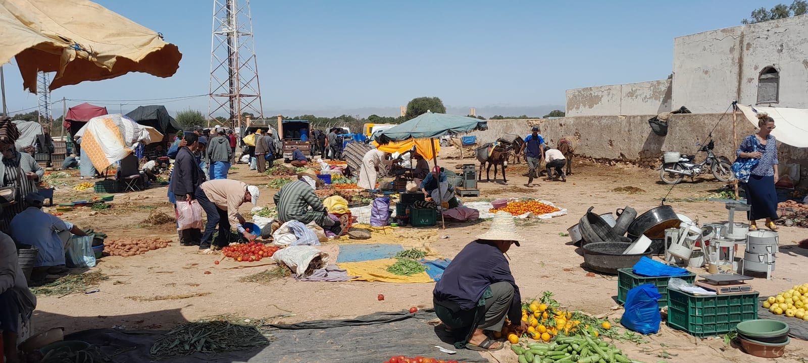 Tomates, aubergines et carottes alignées sur les bâches du souk