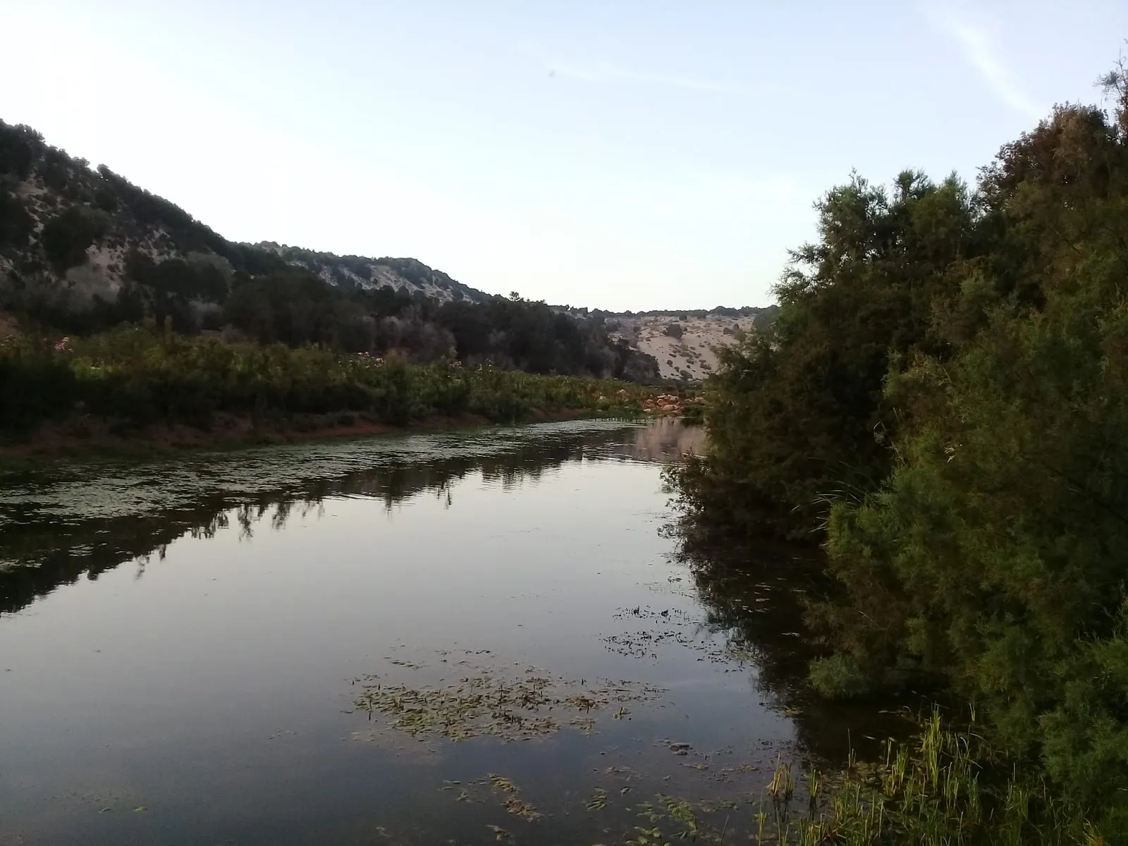 L’oued au soir entre les tamaris et les dunes boisées