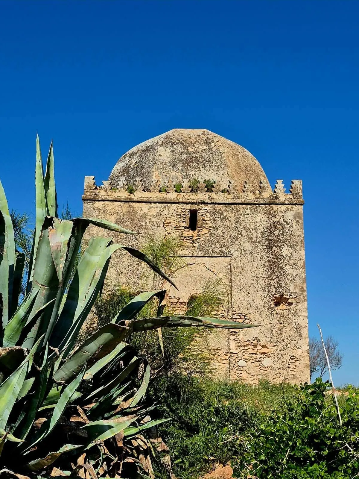 Marabout à coupole derrière les agaves