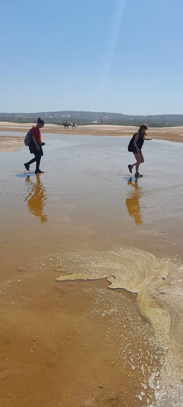 Marcheurs sur le sable mouillé