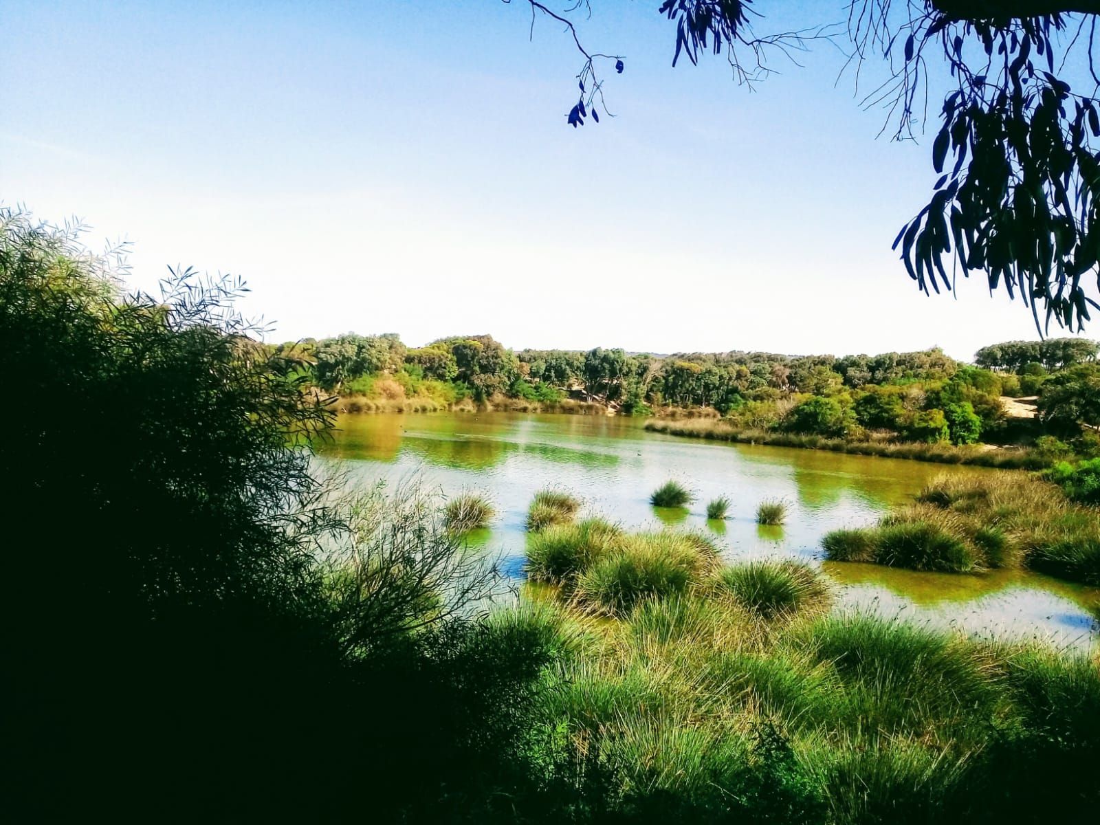 Moulay Bouzerktoun, le nord oublié