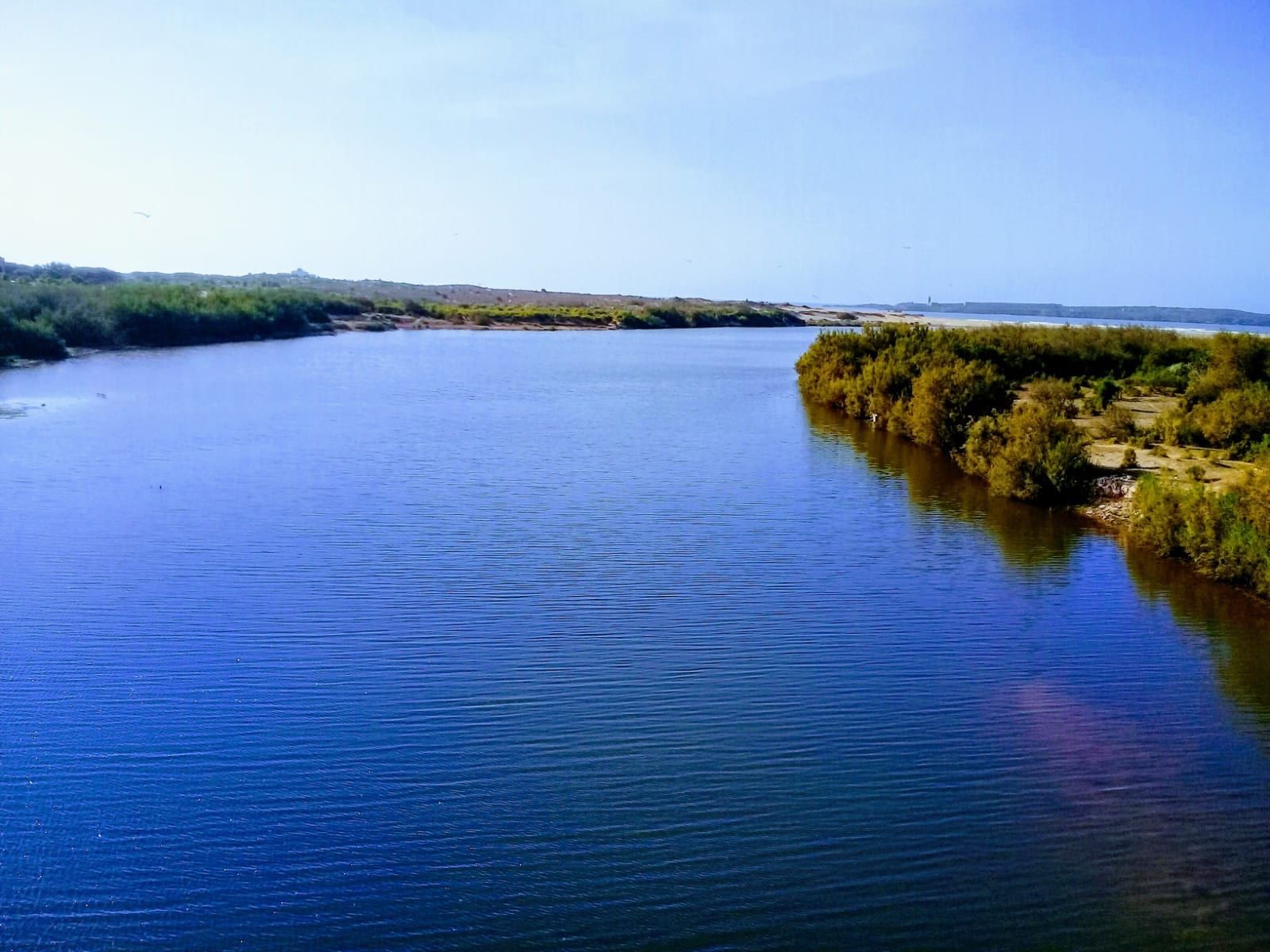 Oued Ksob, beauté et biodiversité