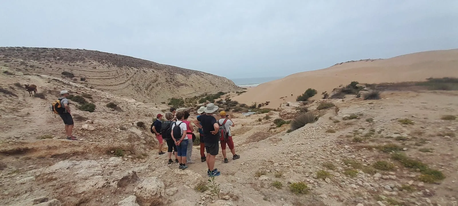 Le groupe, de dos, face aux terrasses et à la dune