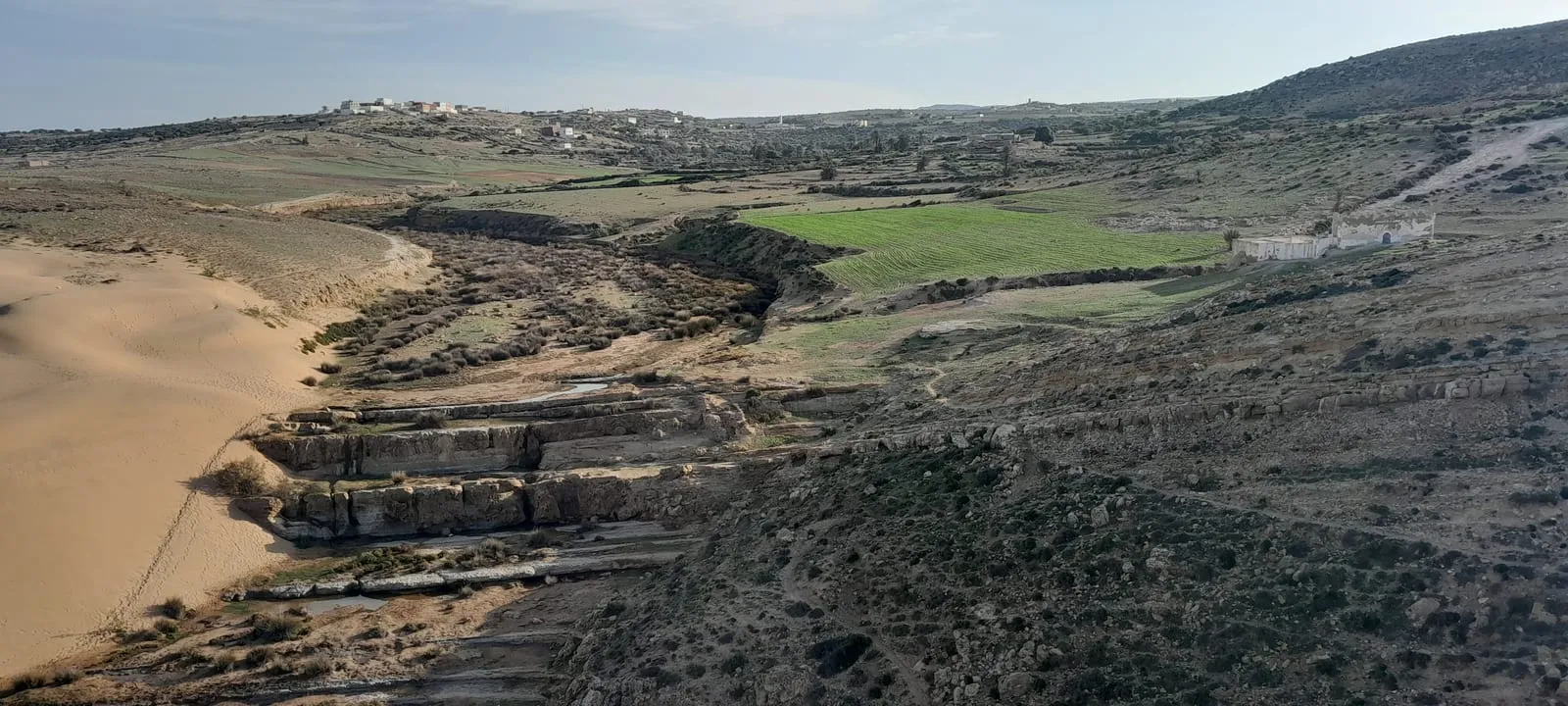 Terrasses cultivées vertes au pied des falaises