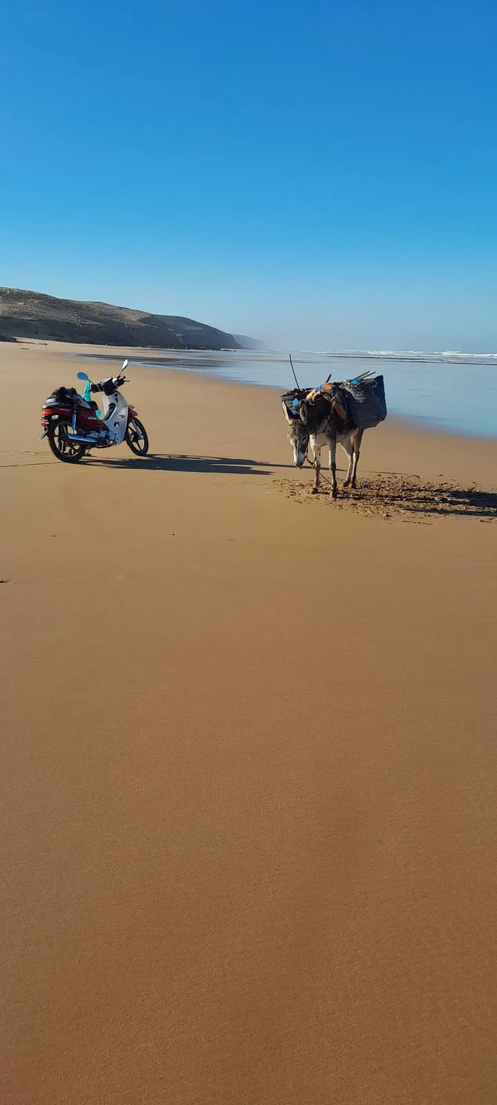 L’âne chargé de paniers remonte la plage