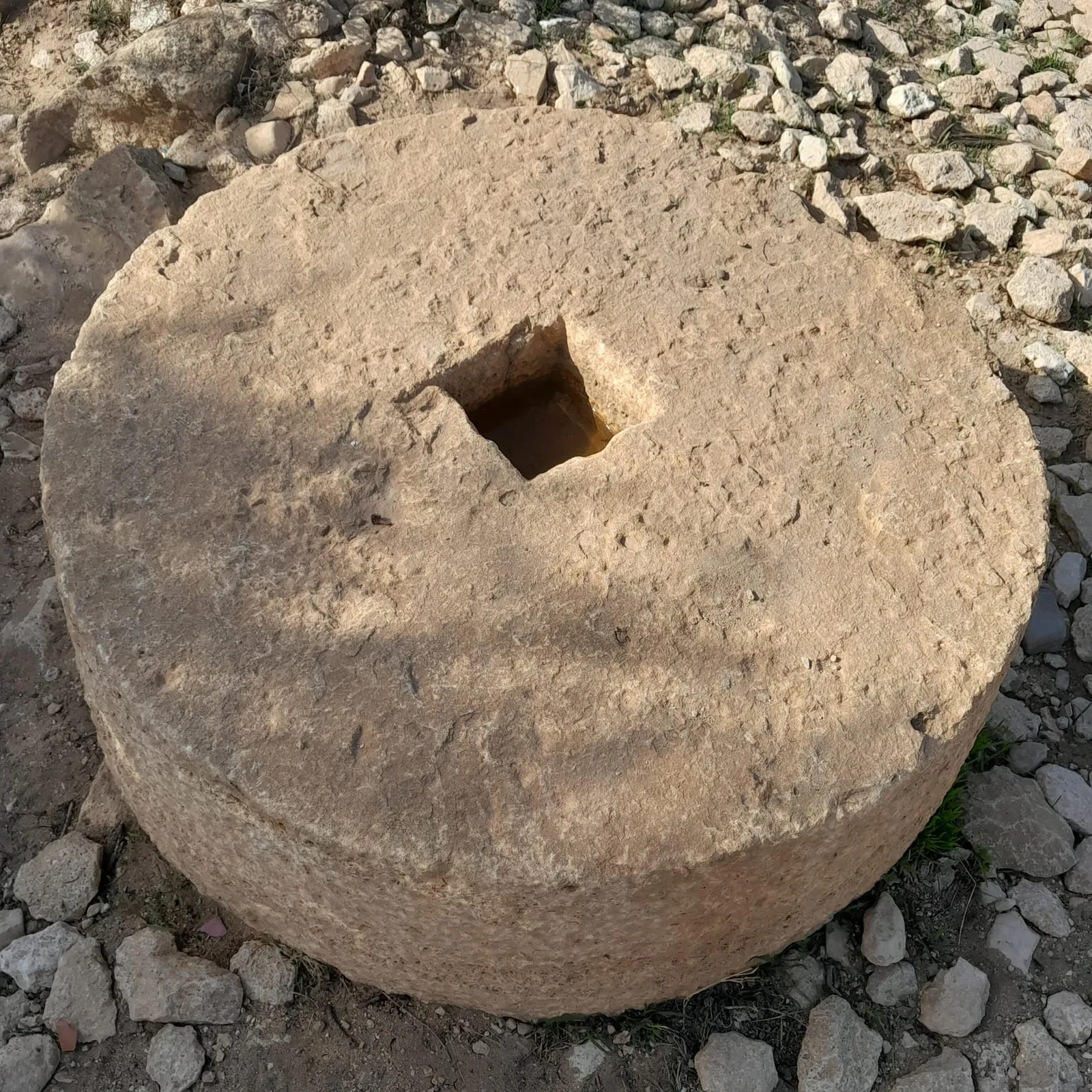 Meule de pierre d'un pressoir à olives