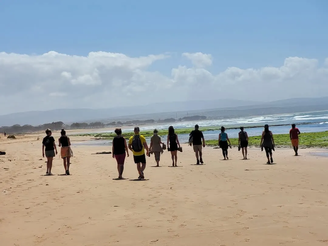 Randonneurs en silhouette sur la plage