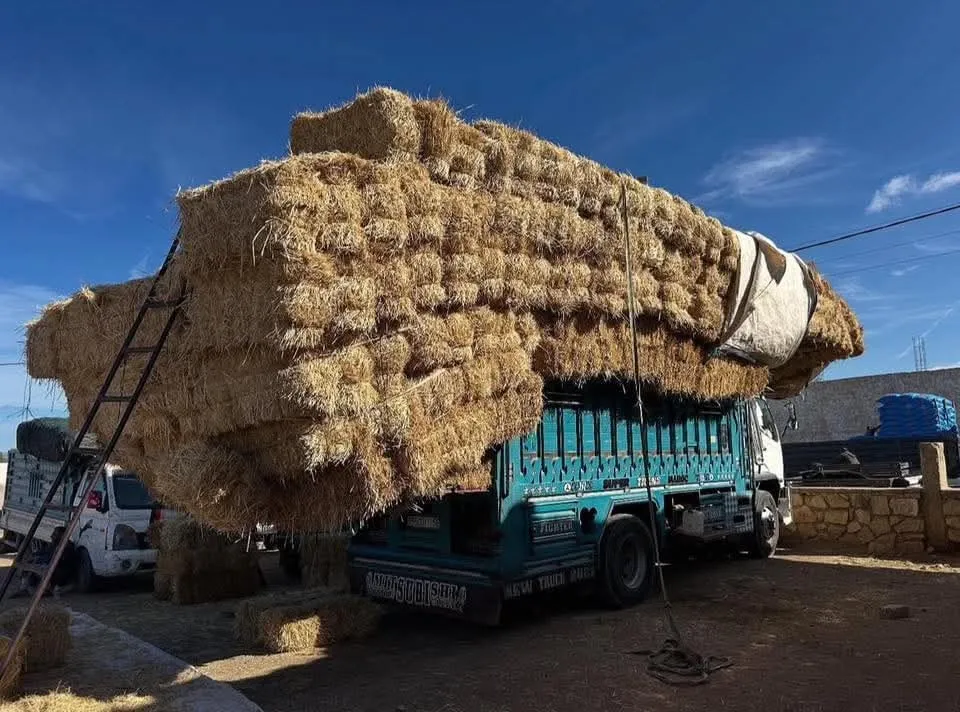 Camion chargé de bottes de paille au marché
