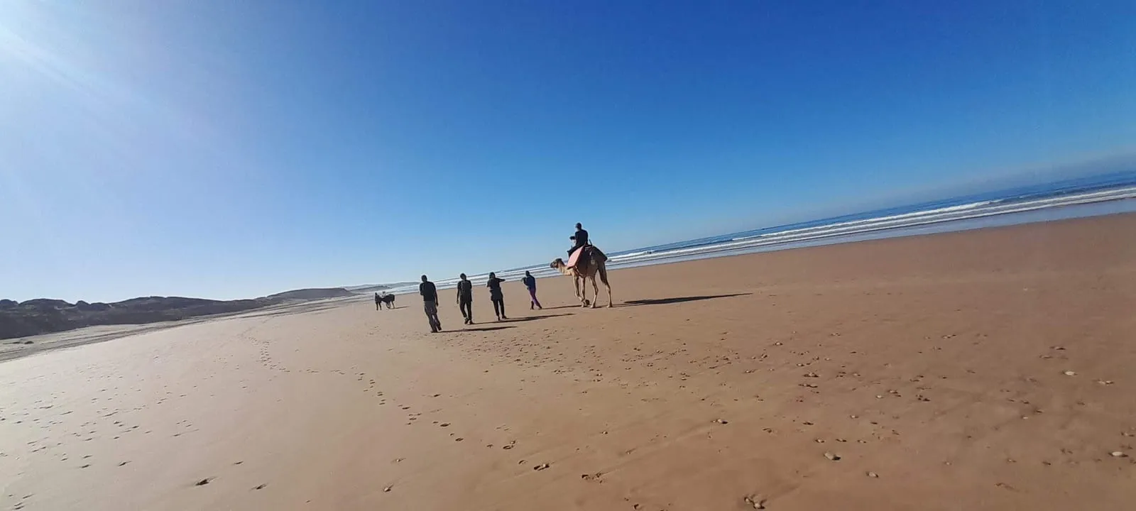 Le groupe et le dromadaire, minuscules sur la grande plage