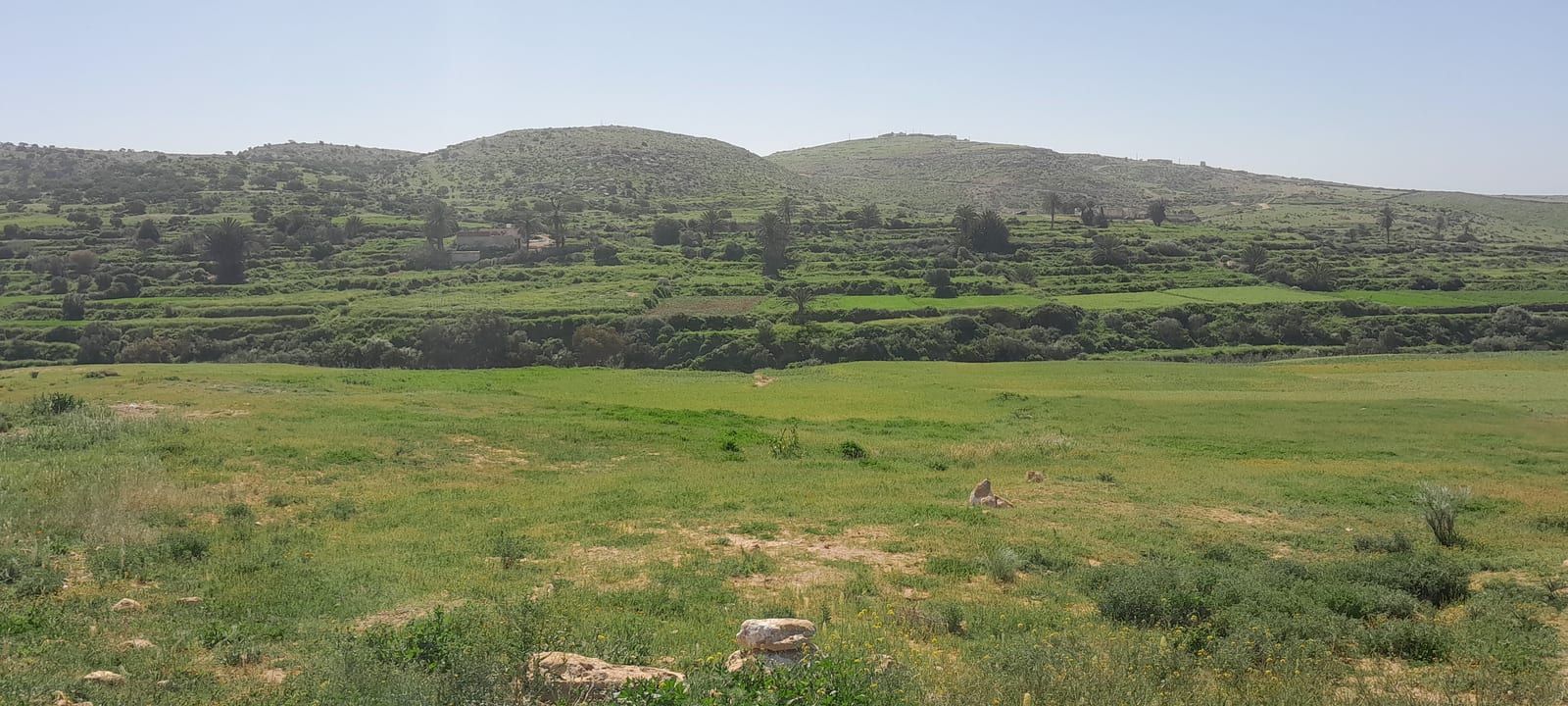 La plaine verte de l’arrière-pays et ses collines en terrasses